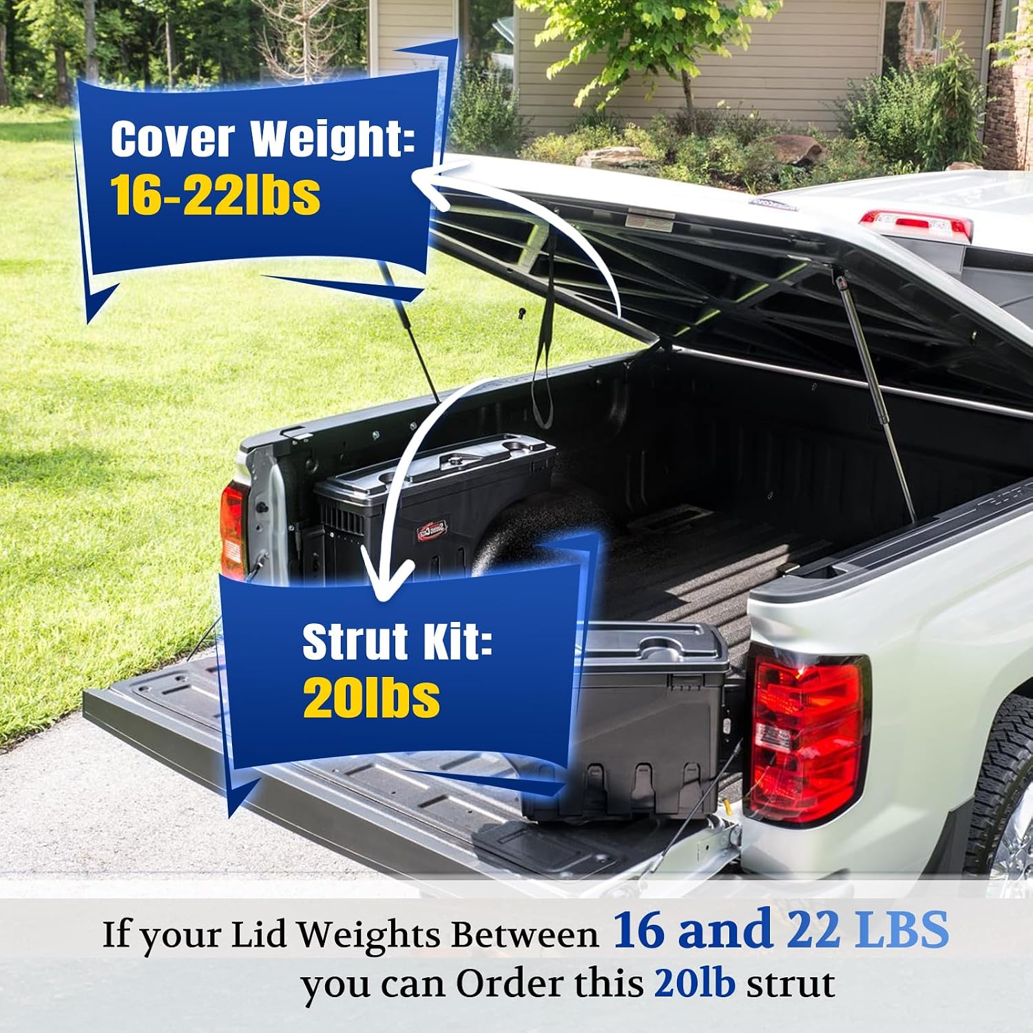 ARANA 24 inch 20lb Gas Struts for RV Bay Door, 2 Pack