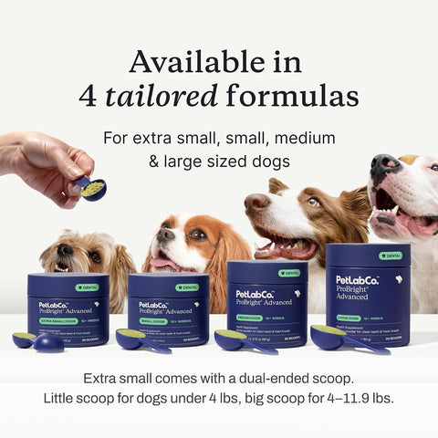 PetLab Co. ProBright Advanced Dental Powder, Small Dogs, 30 Scoops