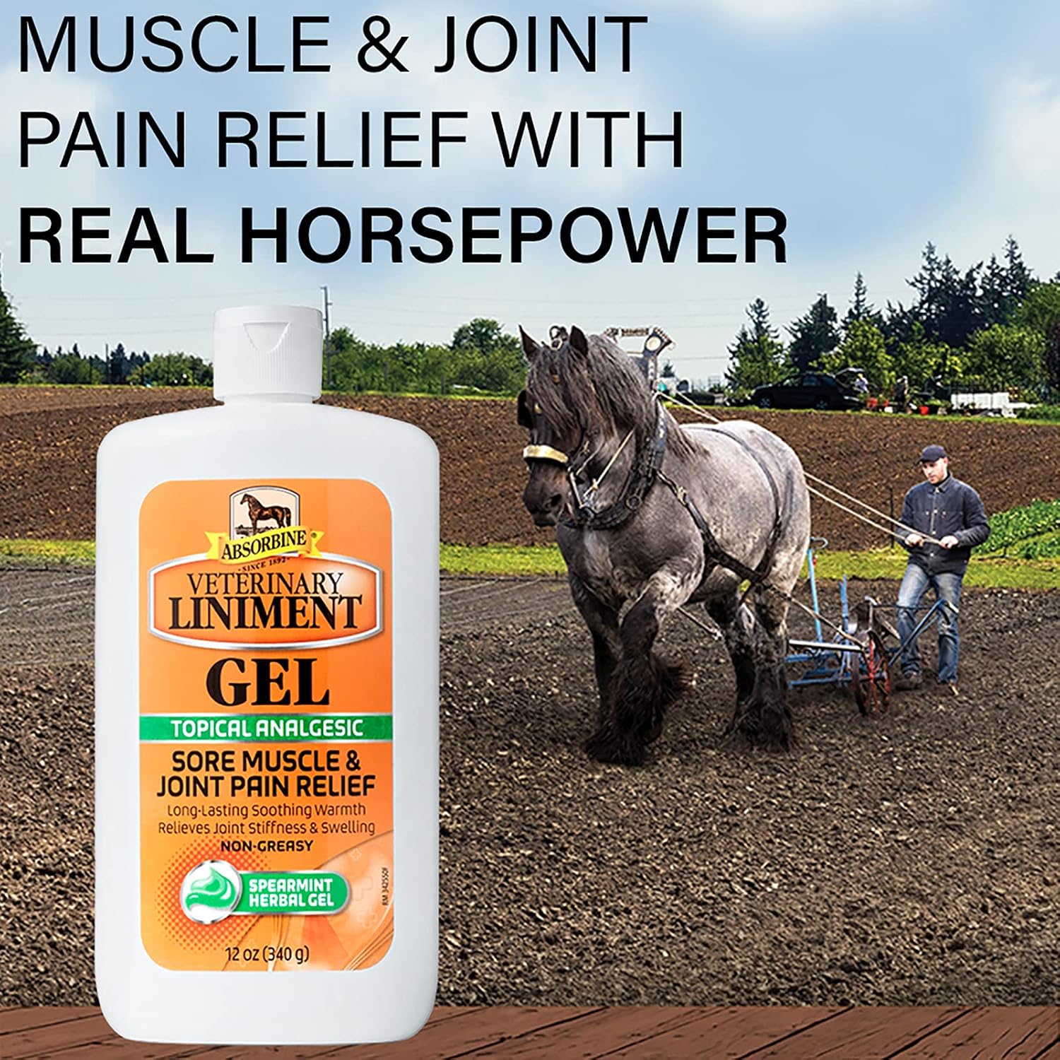 Absorbine Veterinary Liniment Gel, 12 oz Bottle