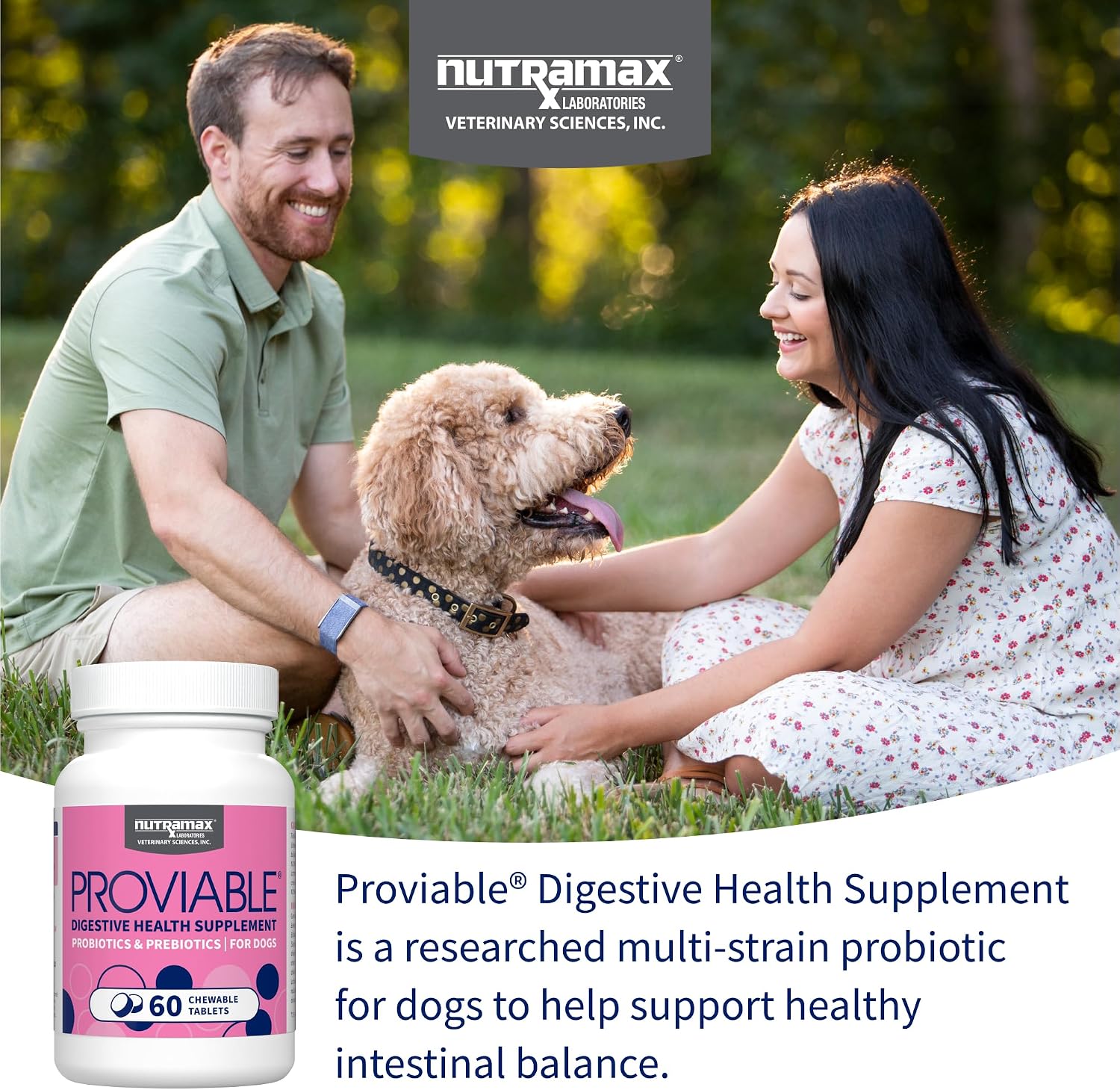 Nutramax Proviable Probiotics + Prebiotics for Dogs, Chewable Tablets, 60ct