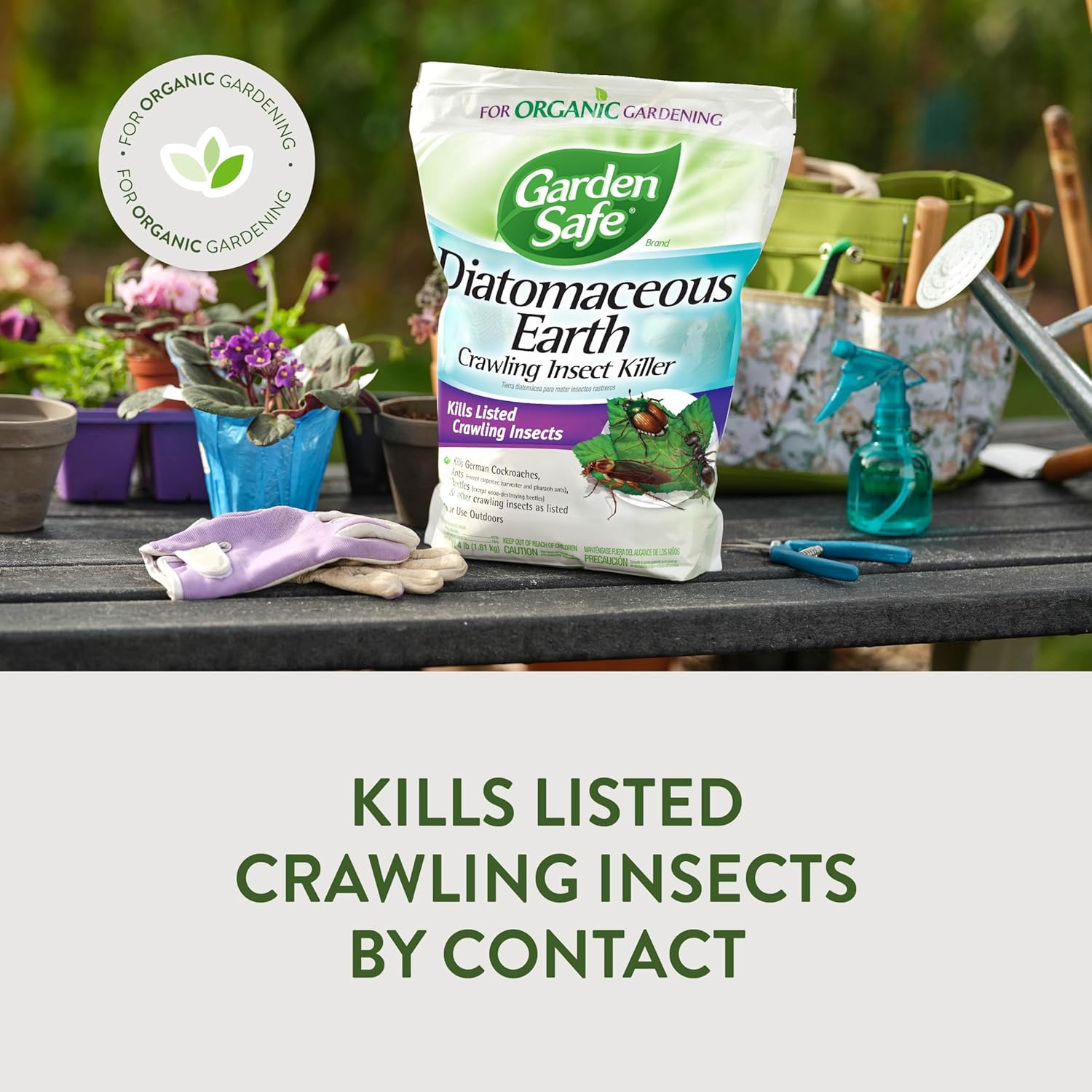 Garden Safe Crawling Insect Killer with Diatomaceous Earth, 4 Lb