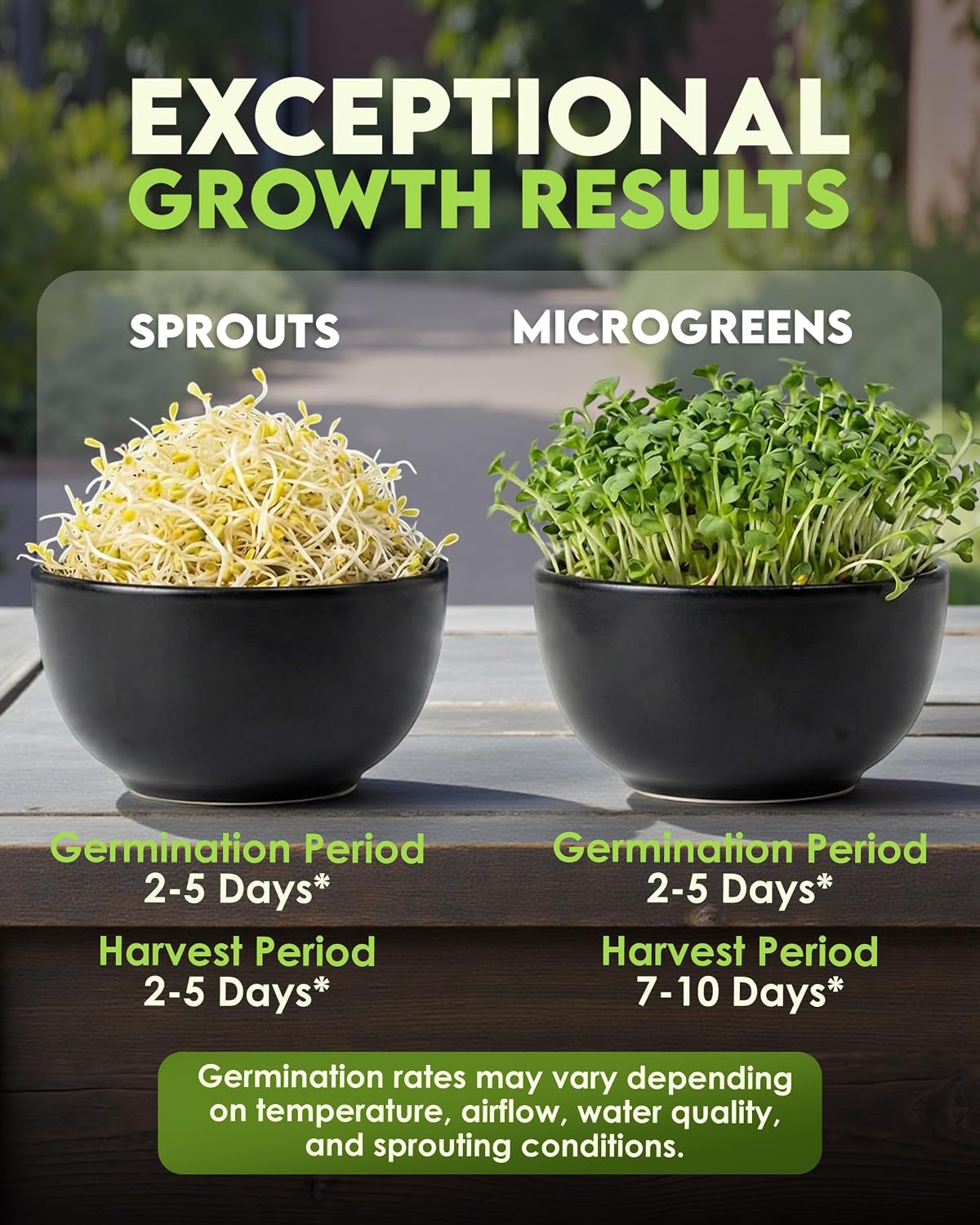 Nature Jim's Sprouts - Organic Alfalfa Sprouting Seeds – Non-GMO - 16 oz