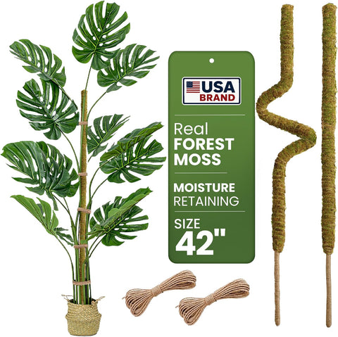 2pcs 42'' Real Forest Moss Pole Monstera Plant Support -Moisture Retaining