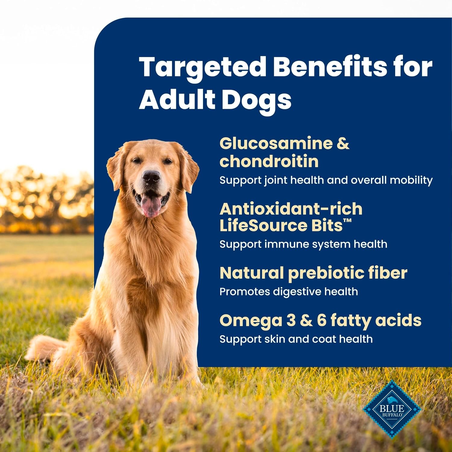 Blue Buffalo Life Protection Formula Chicken Adult Dry Dog Food, 5 lb