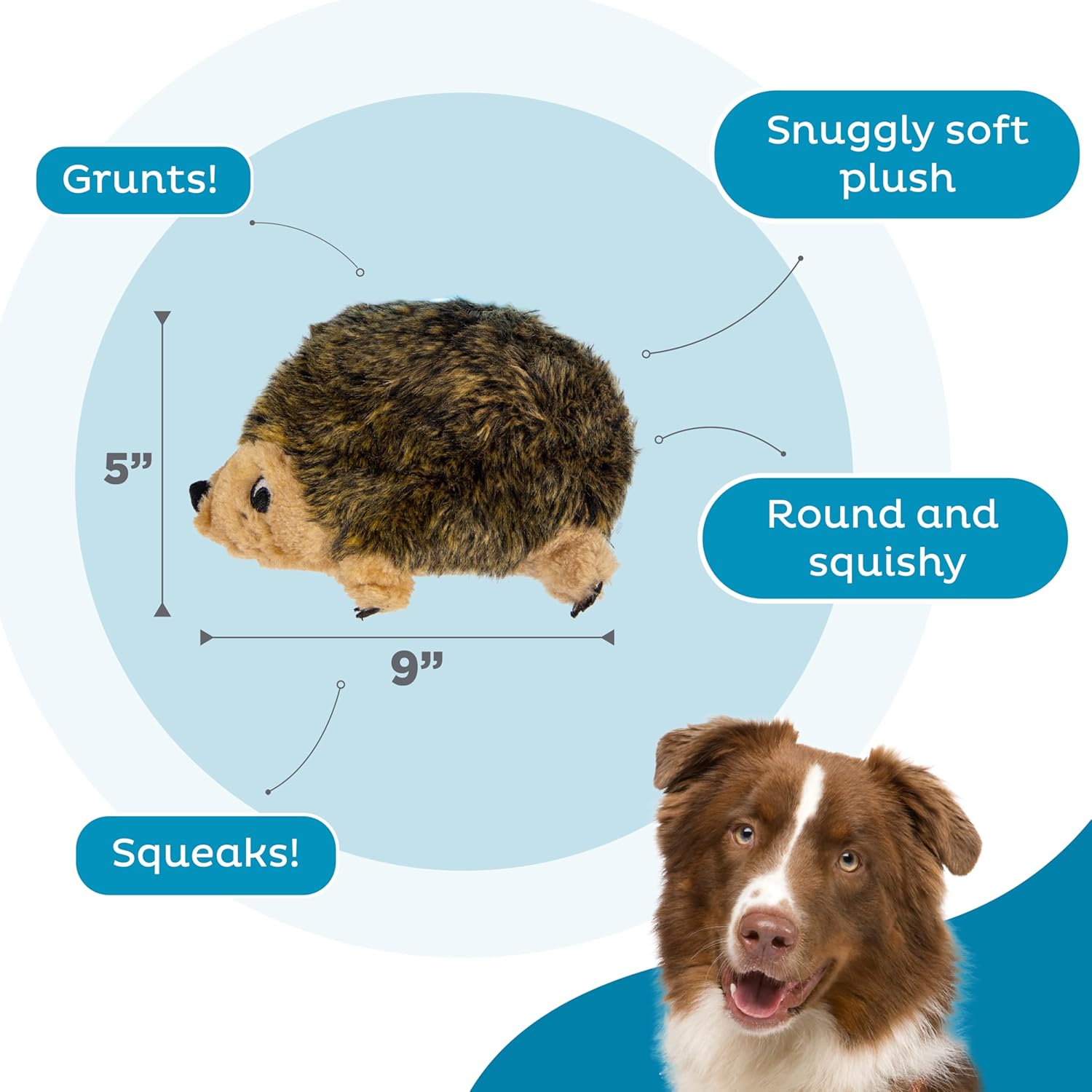 Outward Hound Hedgehogz Plush Dog Toy, Squeaks & Grunts, Medium, 9" x 6.5"