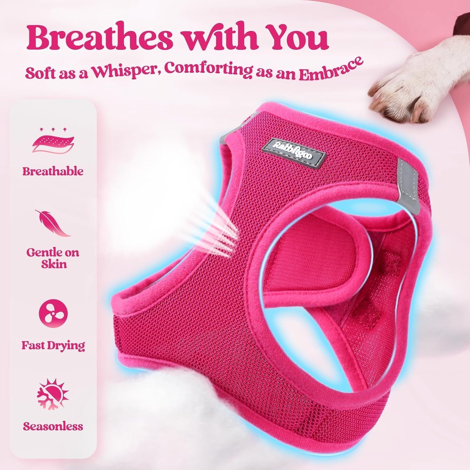 rabbitgoo Dog Harness Small Sized and Leash Set, Step-in Puppy Pet Vest