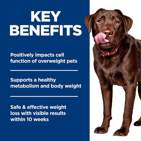 Hill's Science Diet Perfect Weight Large Breed Dry Dog Food