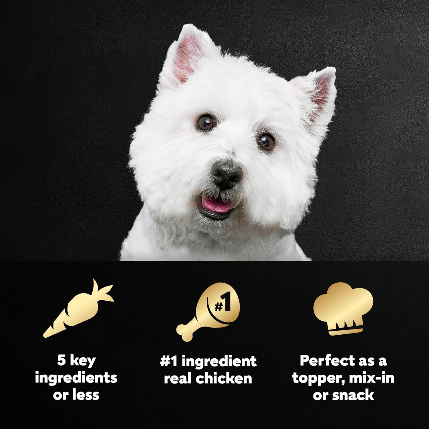 Cesar Simply Crafted Wet Dog Food Toppers, Chicken, 1.3 oz, 10 Count