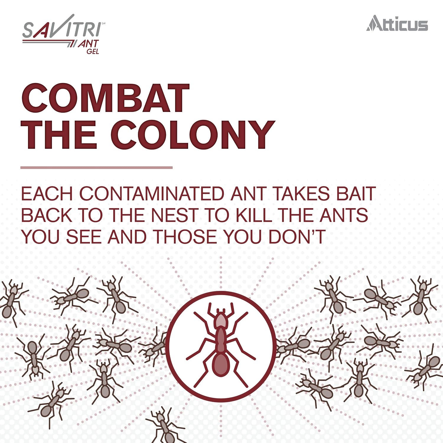 Atticus Savitri Ant Gel Bait (4 x 30 Grams) - Indoor and Outdoor Ant Killer