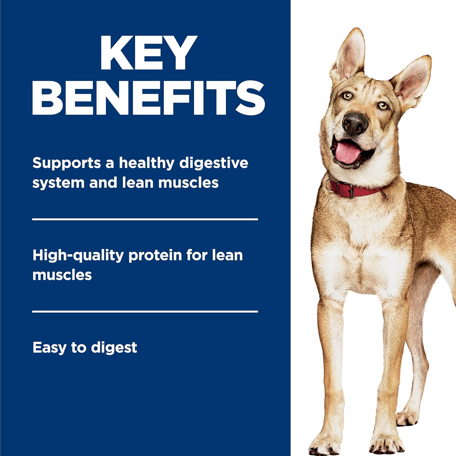 Hill's Science Diet Adult 1-6 Wet Dog Food