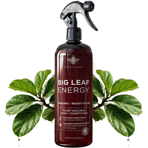 Big Leaf Energy Organic Neem Oil Spray for Plants, Indoor + Outdoor, 16oz