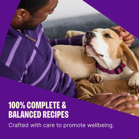 Wellness Complete Health Adult Dry Dog Food, Wholesome Grain Kibble, Natural, Chicken and Oatmeal Recipe, 30 lb Bag