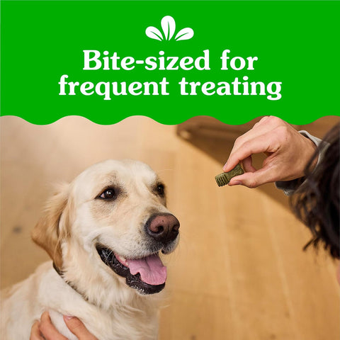 Greenies Anytime Bites Dog Treats, Original Flavor, 10.3 oz