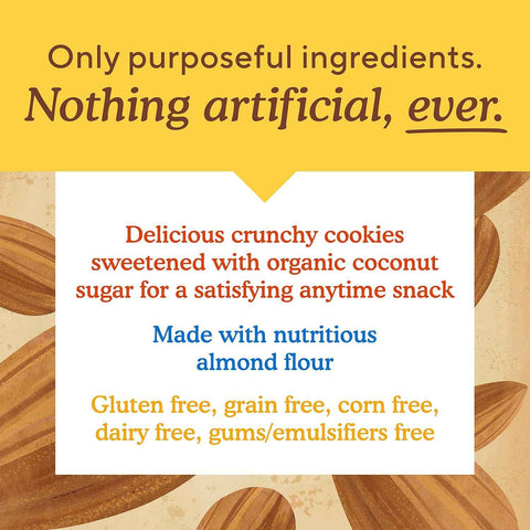 Simple Mills Almond Flour Double Chocolate Chip Cookies, Gluten Free and Delicious Crunchy Cookies, Organic Coconut Oil, 5.5 Ounce (Pack of 6)(Packaging May Vary)