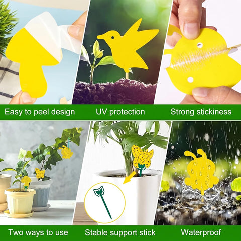 Fruit Fly Trap 96 Pack Yellow Sticky Gnat Killer Traps for Indoor Plants