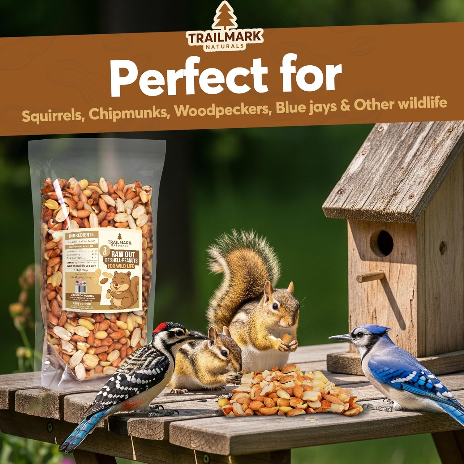 11 LB - Raw Shelled Peanuts for Squirrels, Out of Shell Peanuts for Birds and Wildlife- Squirrel Food, Wild Bird Seed - Grown in The USA
