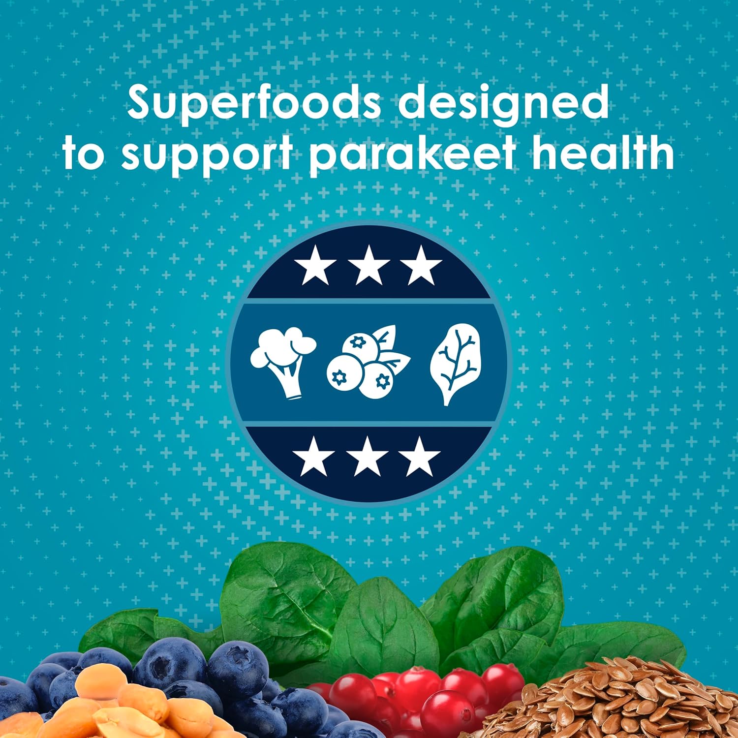 Kaytee Forti-Diet Pro Health Nourish+Protect Parakeet Food, Comprehensive Nutrition Backed by Science, Digestive Health, Immune Support, 2 pounds (Pack of 6)