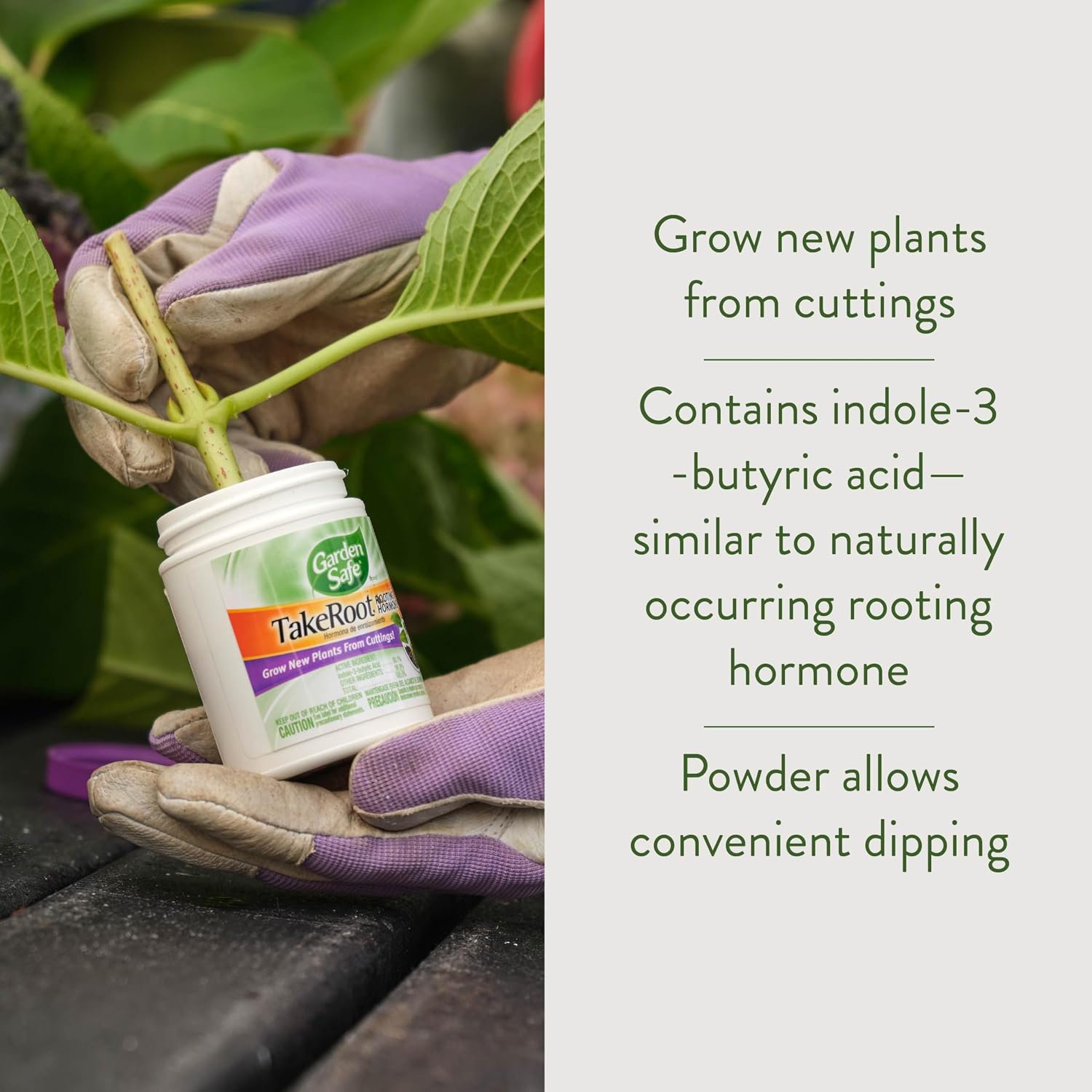Garden Safe Take Root Rooting Hormone 2 Oz, Promotes Rooting, 2 Pack