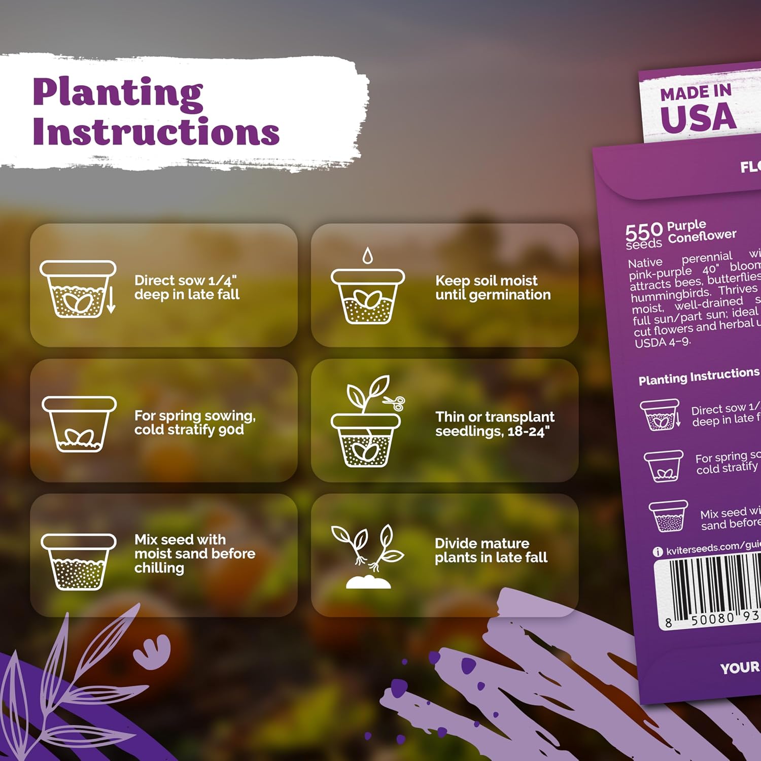 550 Purple Coneflower Heirloom Flower Seeds, Echinacea Purpurea