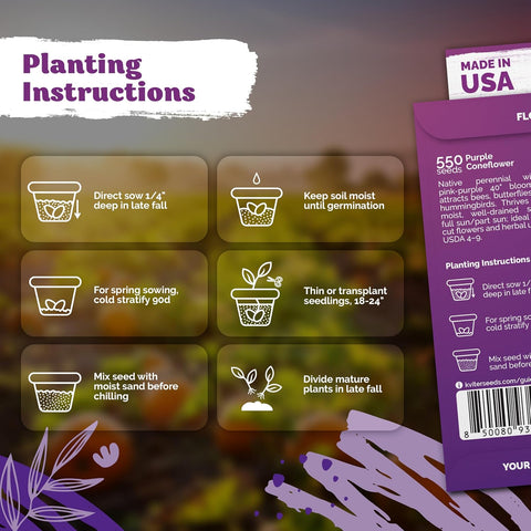 550 Purple Coneflower Heirloom Flower Seeds, Echinacea Purpurea