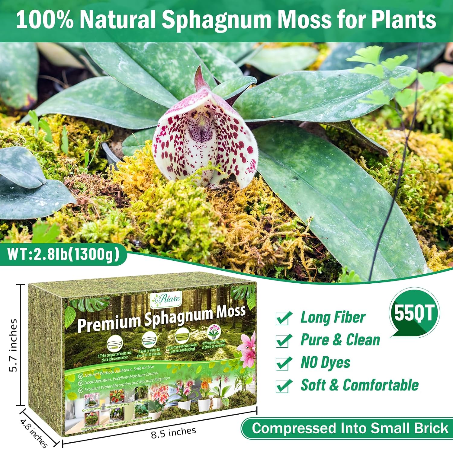 Riare 2.9LB Premium Sphagnum Moss for Plants- 65QT Natural Dried Plant Moss