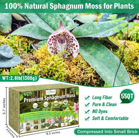 Riare 2.9LB Premium Sphagnum Moss for Plants- 65QT Natural Dried Plant Moss