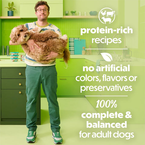 Purina Beneful Freshly Prepared Variety Wet Dog Food, Stew, (12) 10 oz Tubs