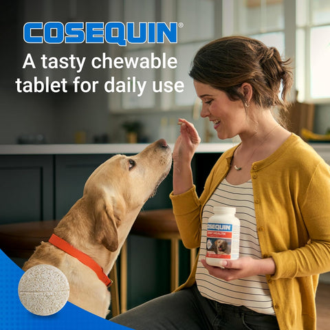 Nutramax Cosequin Joint Supplement for Dogs, Chewable Tablets, 132ct