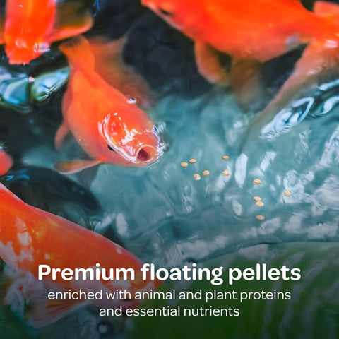 Kaytee Koi's Choice Floating Fish Food for Koi, Goldfish & Pond Fish