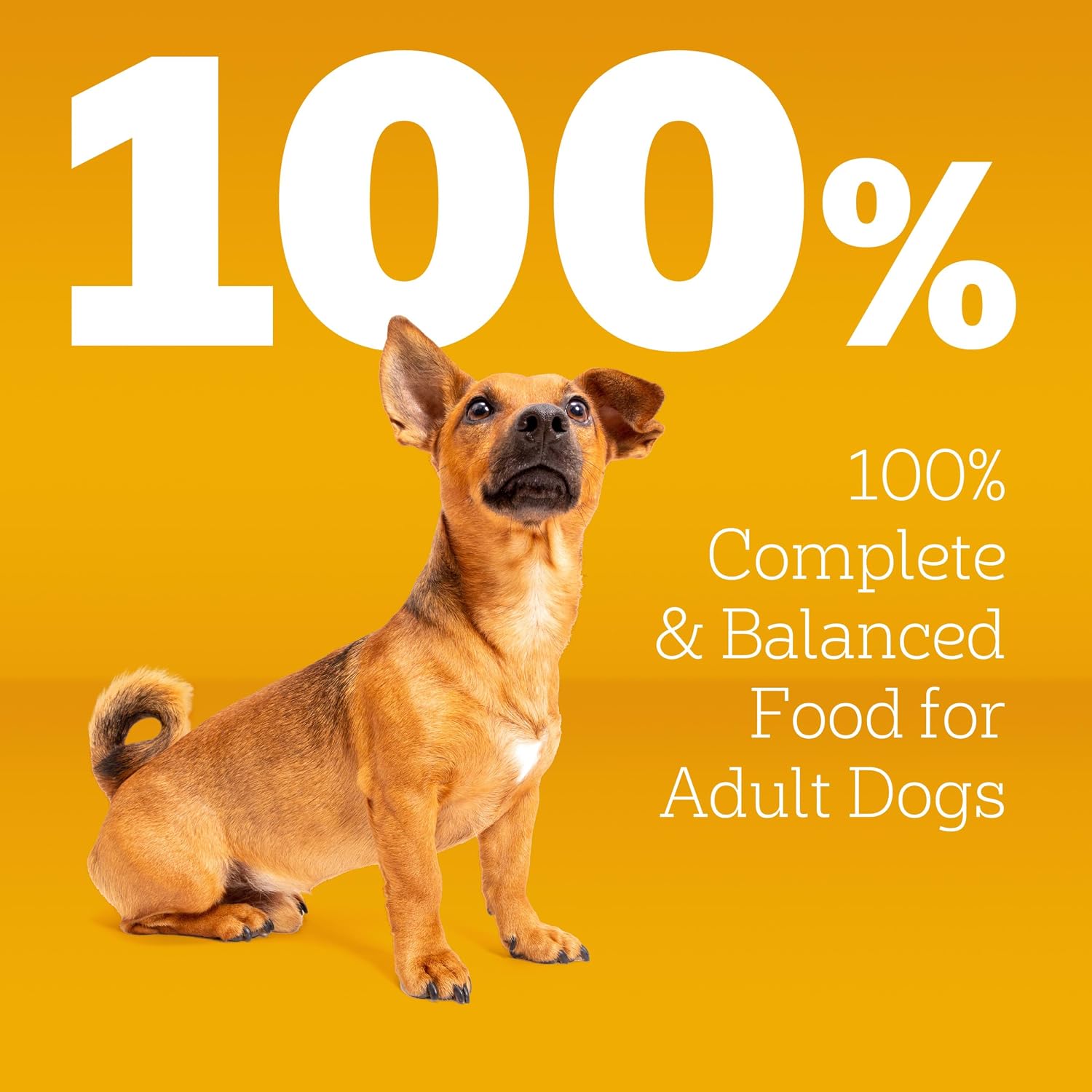 Pedigree Complete Nutrition Adult Small Dog Dry Dog Food, Roasted Chicken, Rice & Vegetable Flavor, 3.5 lb. Bag