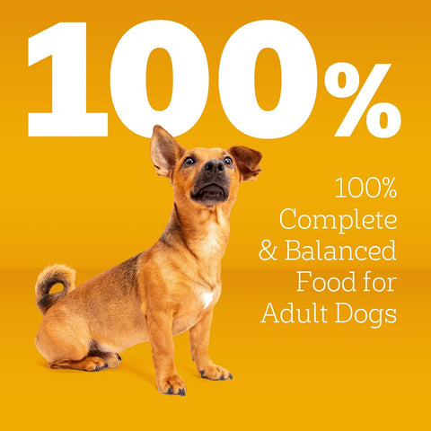Pedigree Complete Nutrition Adult Small Dog Dry Dog Food, Roasted Chicken, Rice & Vegetable Flavor, 3.5 lb. Bag