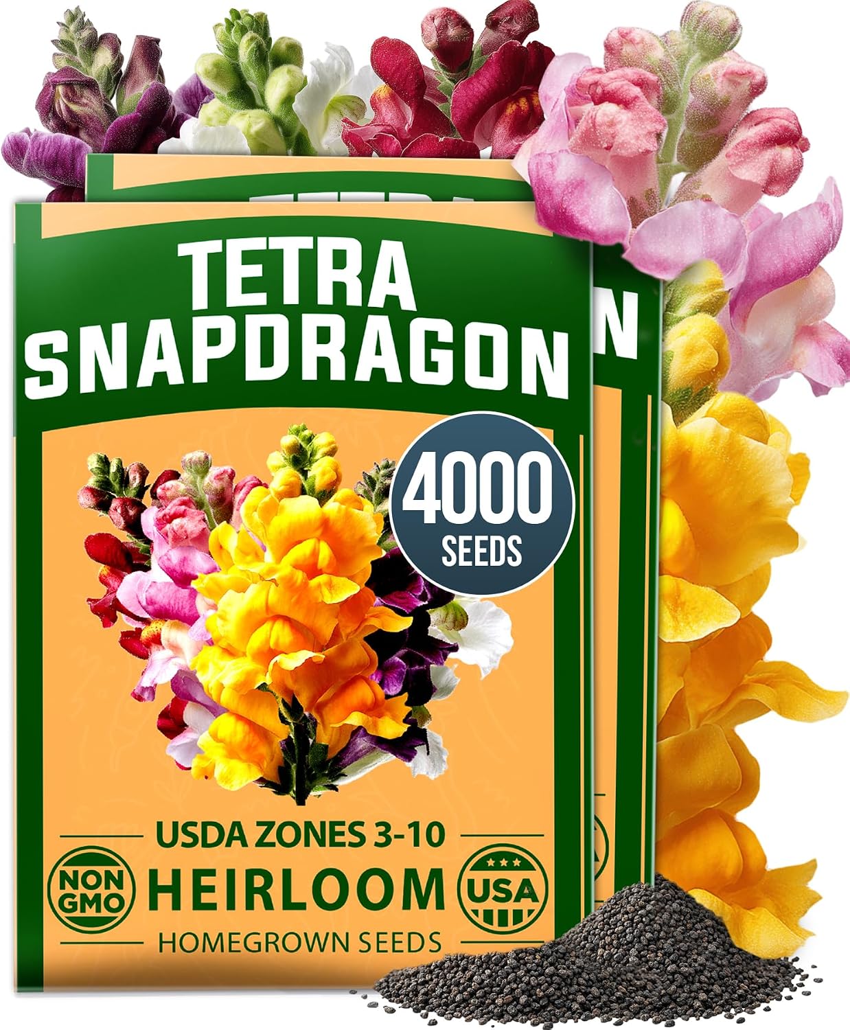 HOME GROWN Tetra Snapdragon 4,000 Seeds for Planting, Antirrhinum majus