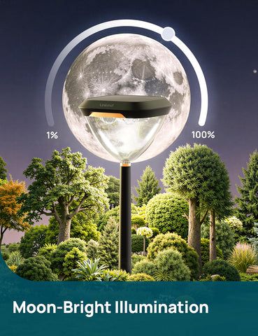 Linkind Smart Solar Pathway Lights SP6,Pattern Switch Solar Halloween Light