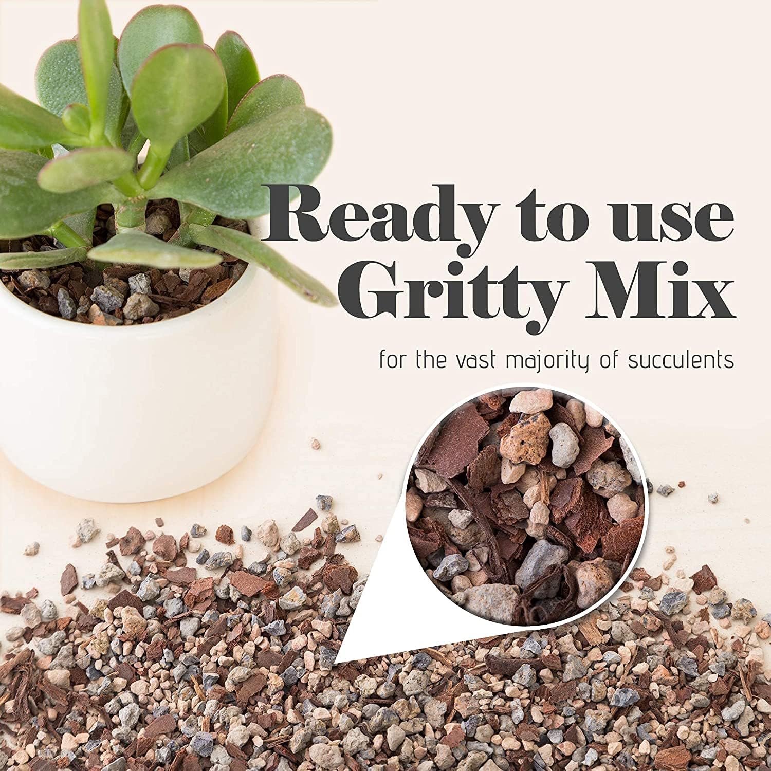 Bonsai Jack Succulent, Cactus and Bonsai Soil - Jacks Gritty Mix - 1 Gallon – Fast Draining – Fight Root Rot – Optimized pH …