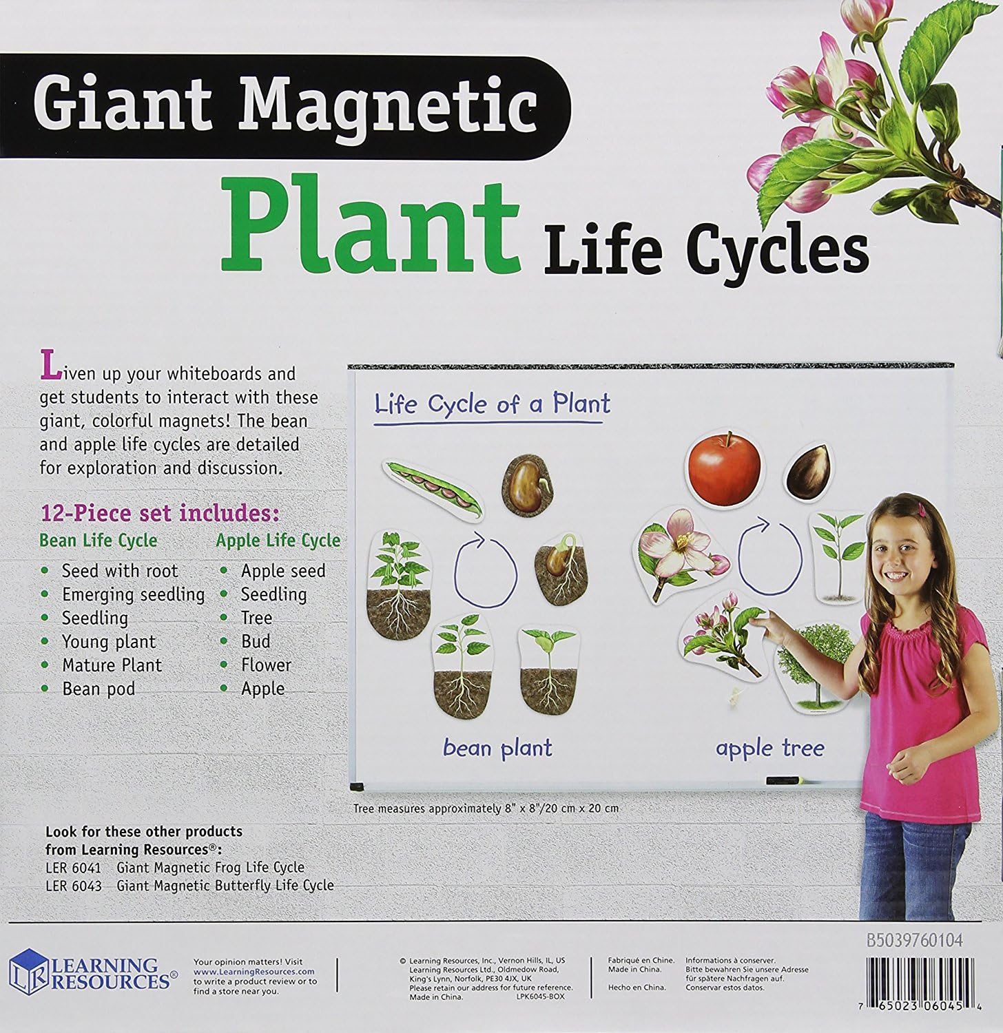Learning Resources Giant Magnetic Plant Life Cycle - STEM Growing Seed, Montessori Tree , Biology Cards, Classroom Teacher Must Haves Activities, Science Homeschool Essentials, Gifts for Students