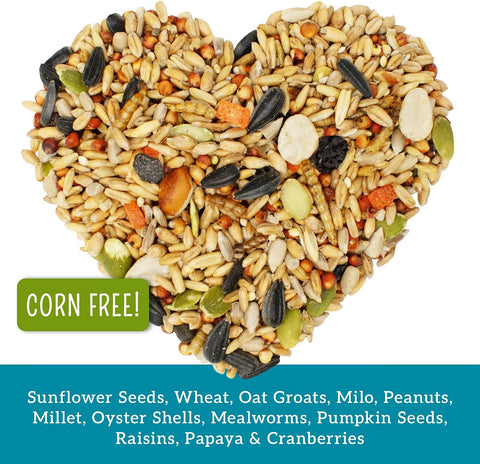 Love My Girls 5lb Chicken Snacks - Gourmet Fruit & Mealworms Bird Treats