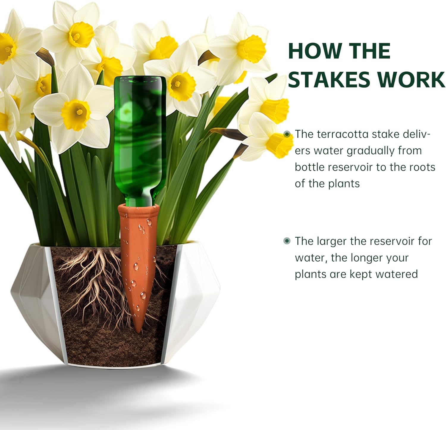 Soilagua Large Terracotta Watering Spikes with Lids, Automatic Plant Waterer Outdoor | Indoor, Vacation Friendly Clay Plant Watering Devices System, Slow Release Self Watering Planter Insert, 4 Pack