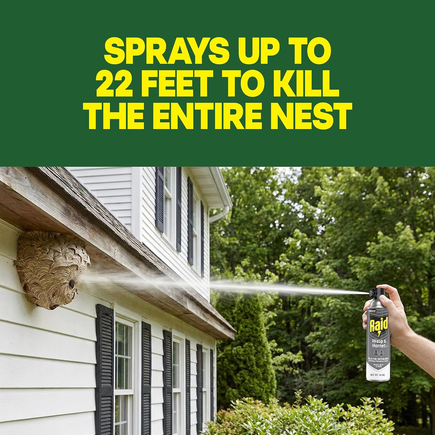 Raid Wasp & Hornet Killer Bug Spray, Kills Entire Nest, 14 oz, 2 Count