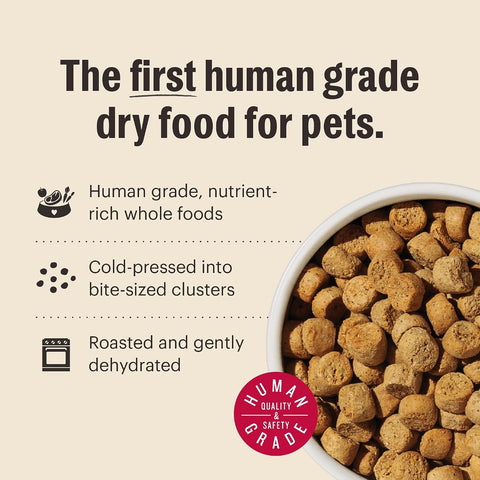 The Honest Kitchen Whole Grain Chicken & Superfoods Whole Food Clusters, Vet Crafted Human Grade Dry Dog Food, Skin, Coat, Digestion & Healthy Weight, 10 lb Bag