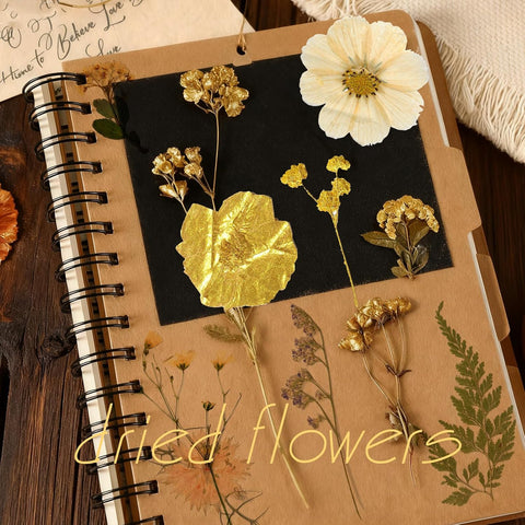85 Pcs Dried Flowers for Crafts