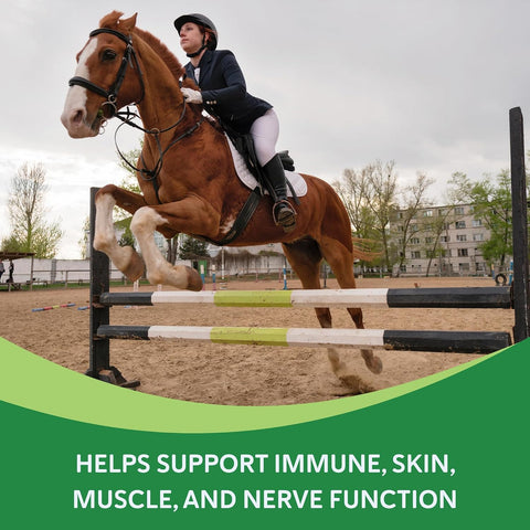 Vitamin E Supplement for Horses with d-Alpha Tocopherol, 60 Ct