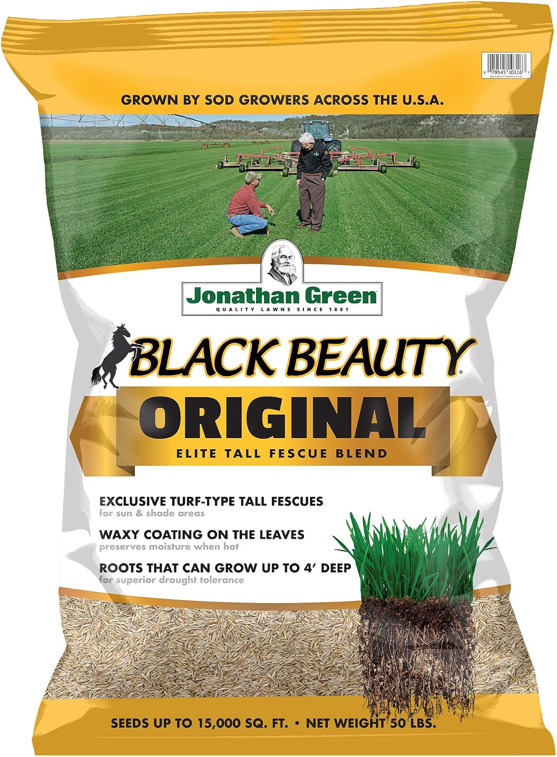 Jonathan Green Black Beauty Tall Fescue Grass Seed Blend - 50 lb
