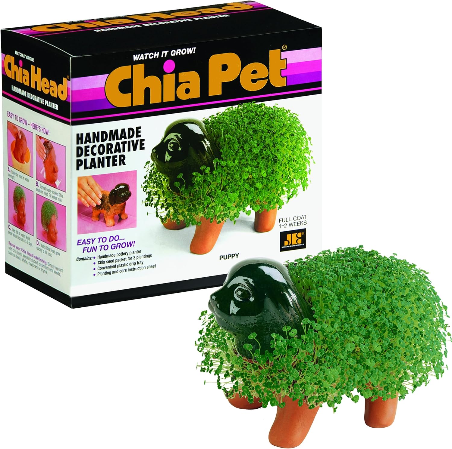 Chia Pet Classic Dinosaur Terracotta Planter with Seed Pack