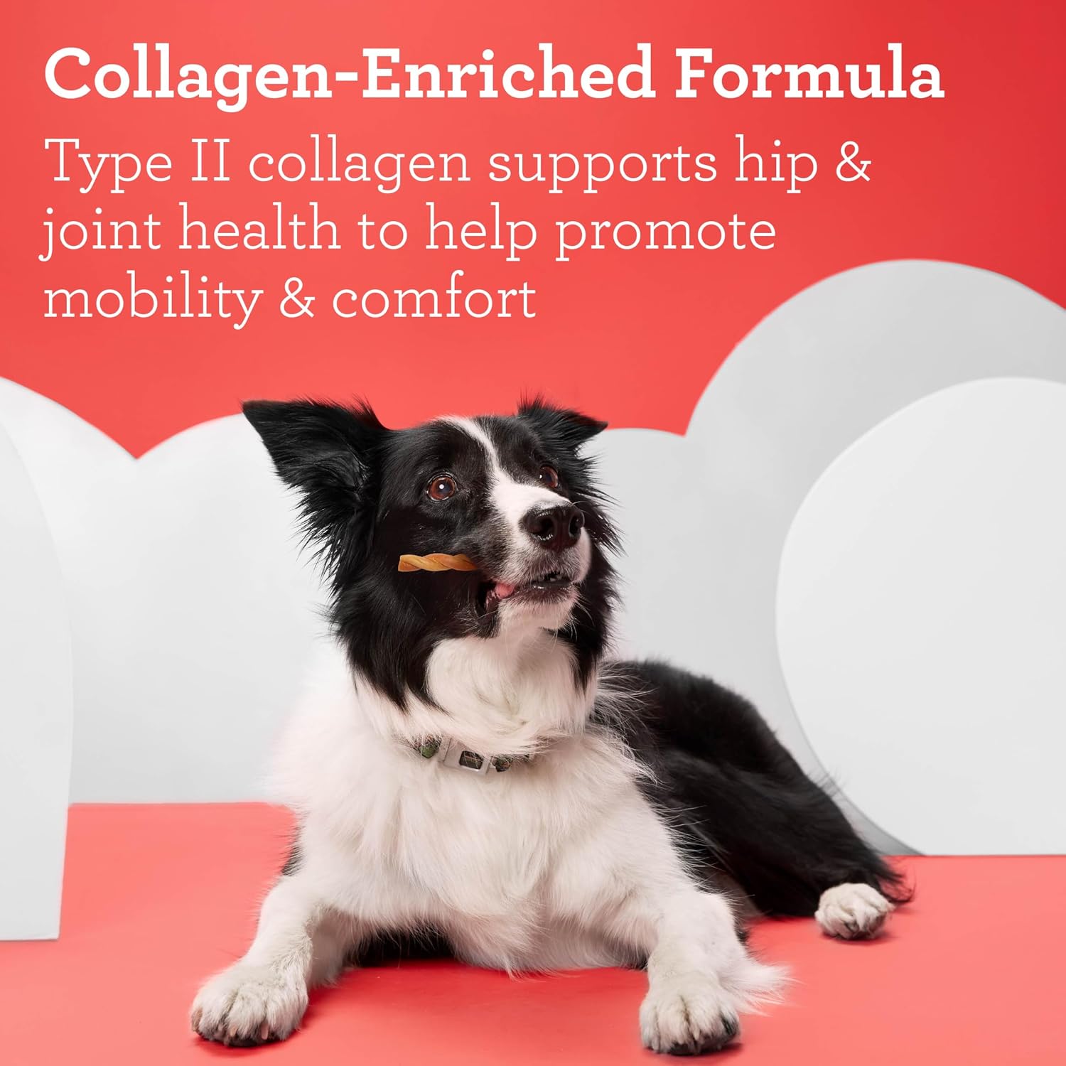 DreamBone CollaYUMS Twists Plus Collagen Rawhide-Free Dog Treats, 20 Count