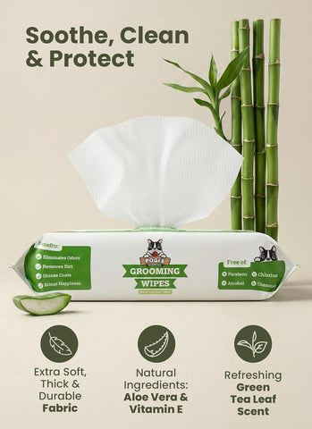 Pogi’s Dog Grooming Wipes – Hypoallergenic Pet Wipes for Paws, Body & Butt – Cleaning & Hydrating, Green Tea Scent, 100 Count