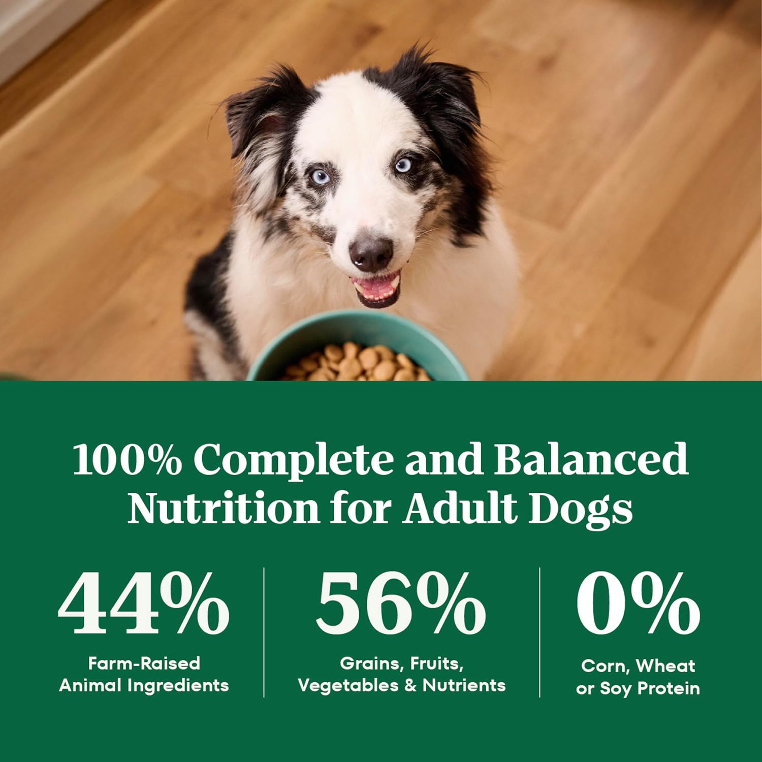 Nutro Natural Choice Adult Dry Dog Food, Chicken & Brown Rice Recipe, 5 lb