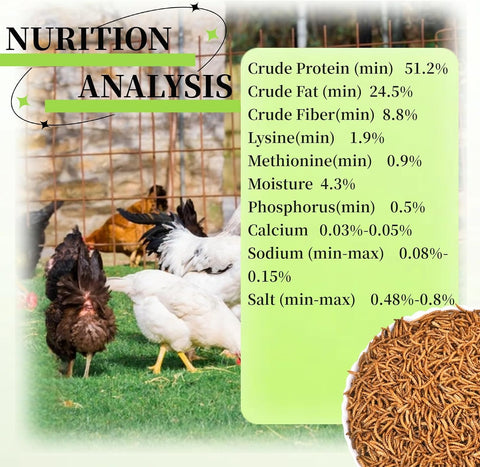 SANSECT 20LB Dried Mealworms for Chickens, Ducks, Wild Birds, Reptile Food