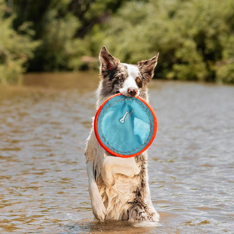 Chuckit! Paraflight Flying Disc Dog Toy, Floats, Size Large, 1 Pack
