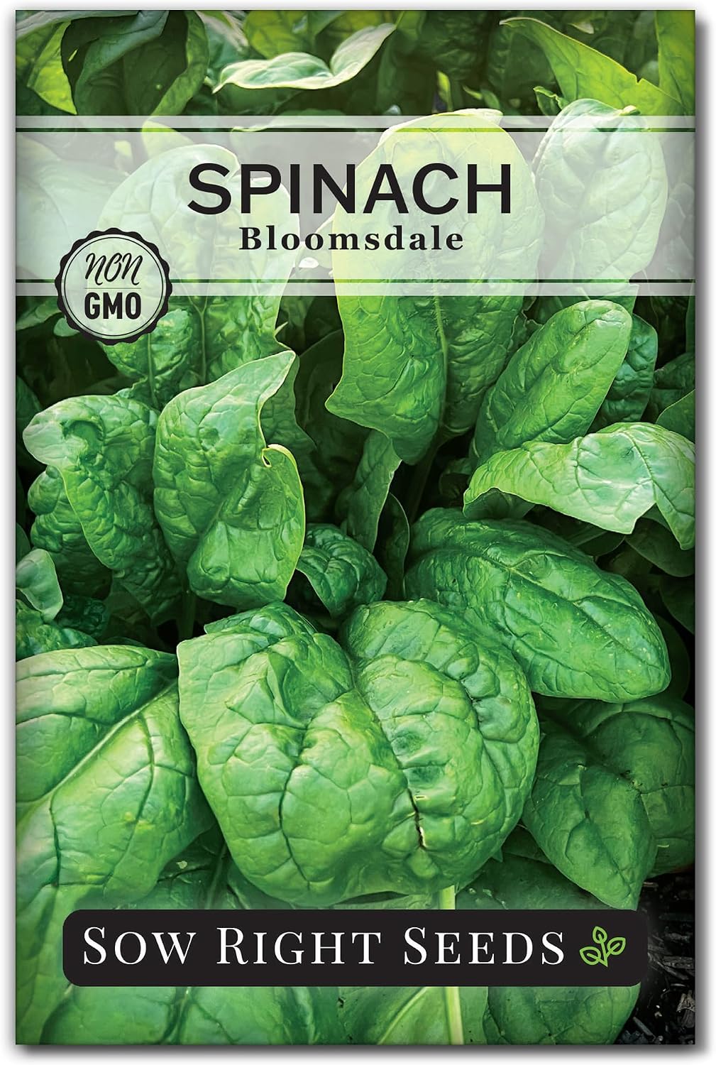 Sow Right Seeds- Bloomsdale Spinach Seed for Planting Your Vegetable Garden