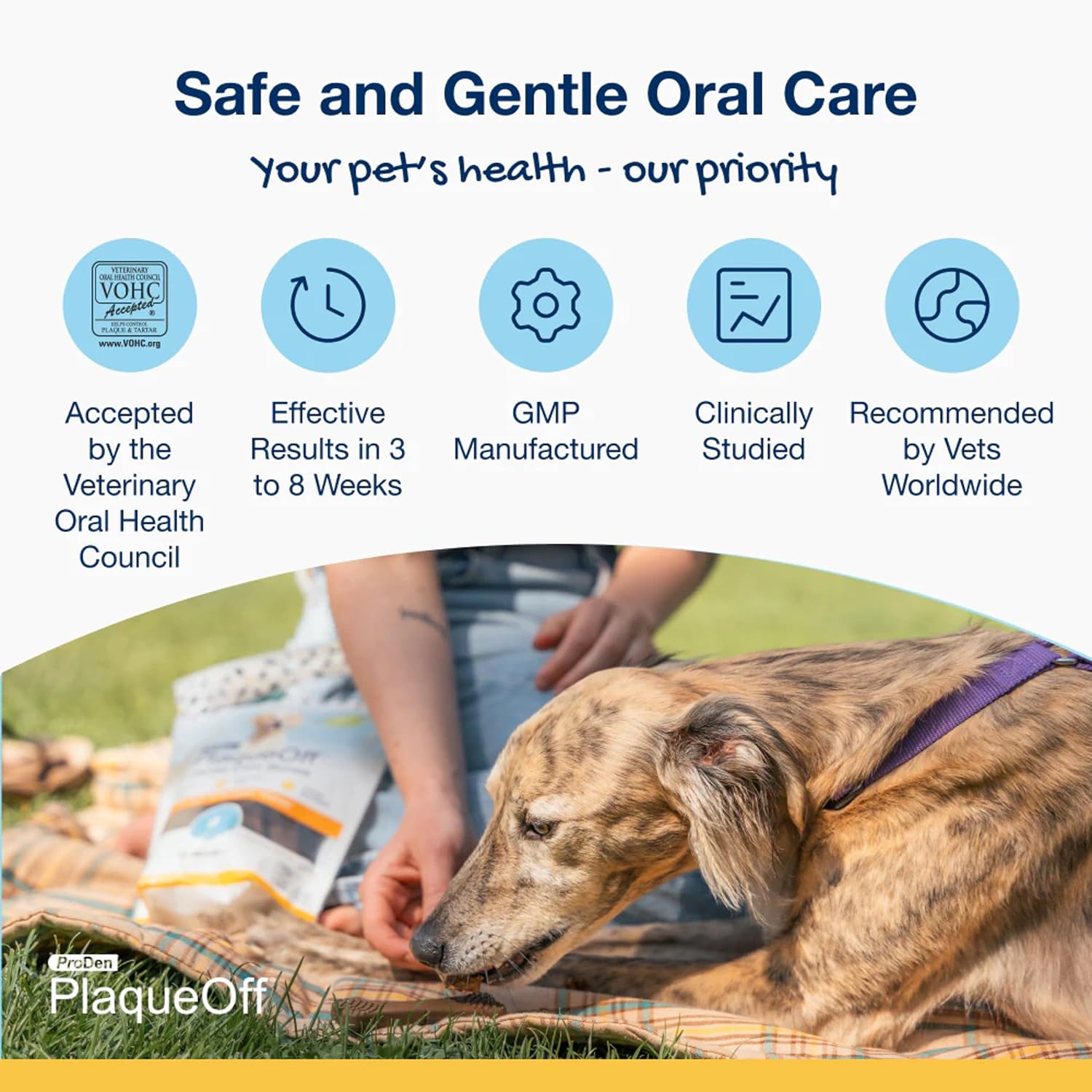 ProDen PlaqueOff Dental Bones for Dogs - Bacon Flavored - 17 oz
